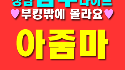 성남샴푸 나이트 웨이터는 왜 2인1조 아줌마팀일까?