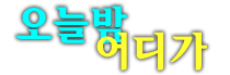 성남샴푸나이트 공식 홈페이지